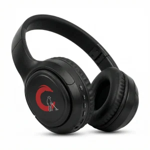 Waterproof Headphones for Metal Detecting — Headset with Mic & Earbuds